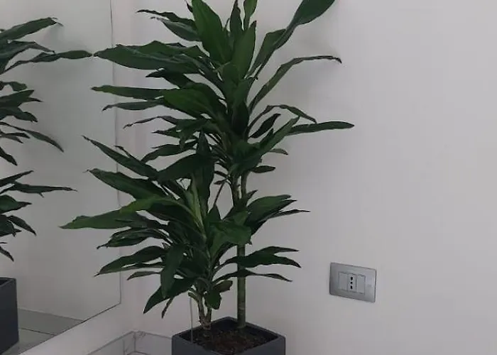 Apartmán Marble Como