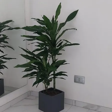 Apartmán Marble Como